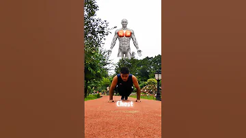 Triceps Chest And Shoulder Calesthenic Pushups Tutorial 
