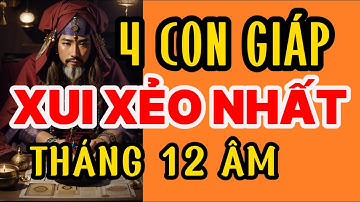 4 CON GIÁP XUI XẺO NHẤT THÁNG 12 ÂM LỊCH | TUVI365