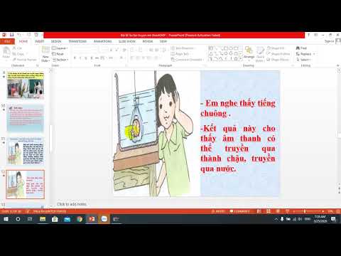 Khoa học lớp 4 - tuần 21