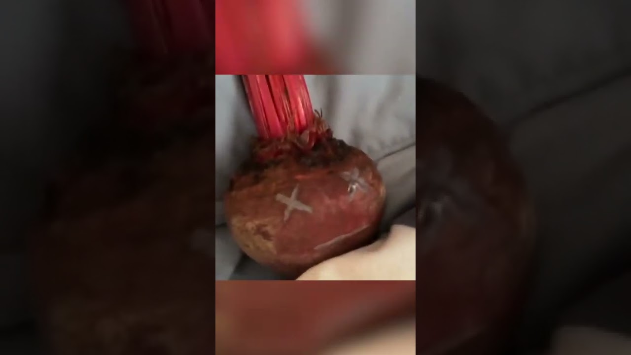 MY VIRAL VINE 😯📲