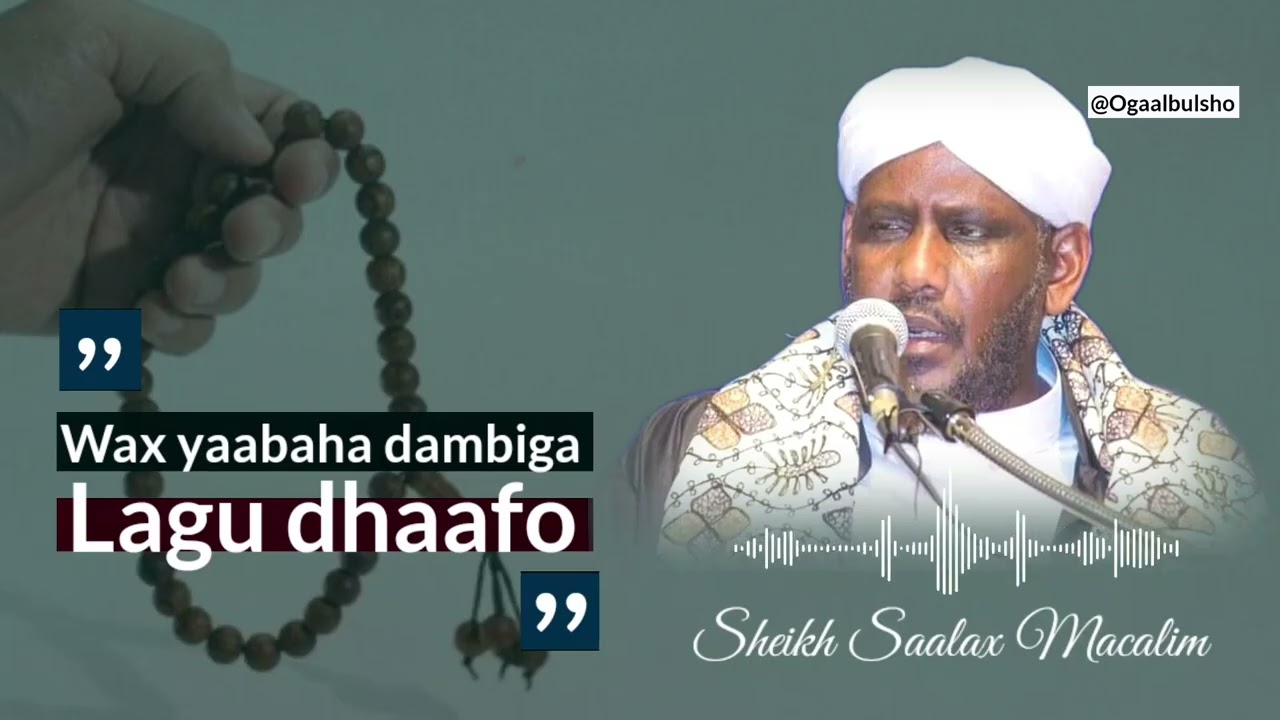 Waxyaabaha Dambiga Lagu Dhaafo || Sheekh Saalx Macalim @Ogaalbulsho #Shiikhsaalaxmacalim #qisooyin