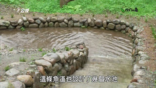 【生態工法】魚之道打造一條魚安心的道路 (我們的島 第810集  20150601)