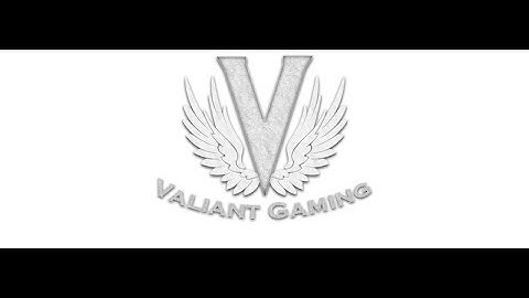 CSS Custom player models | VALIANT GAMING