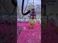 1回挑戦で空飛ぶうさぎを狙うも失敗!次こそは...!