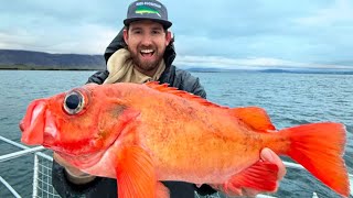 Fishing in ICELAND 🔥🧊 