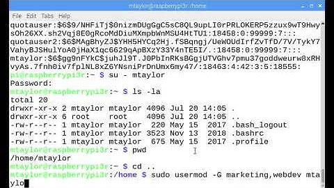 Creating and Managing Users and Groups in Linux