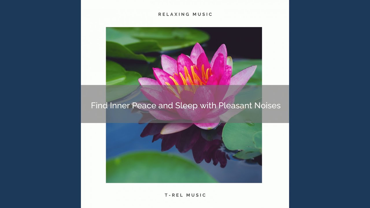 Soft Meditation Music for REM Rest