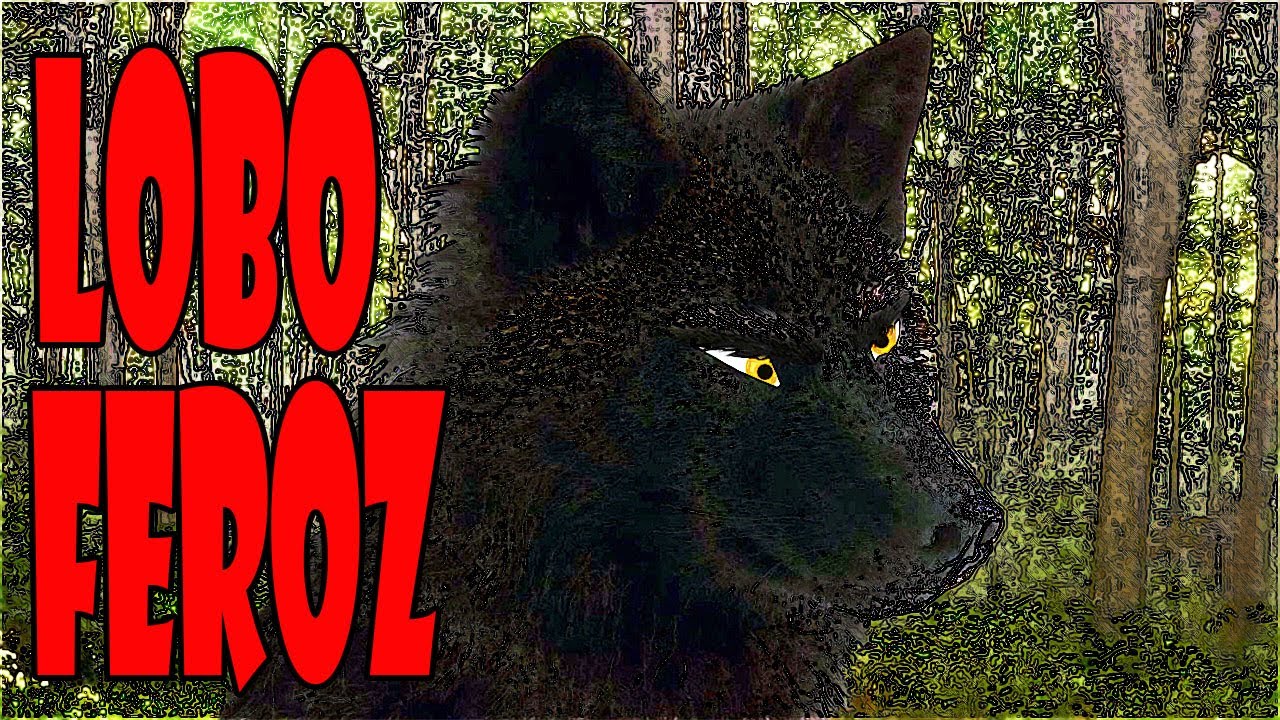 6 CUENTOS INFANTILES DEL LOBO FEROZ: Los tres cerditos, Caperucita Roja y Los Siete Cabritillos