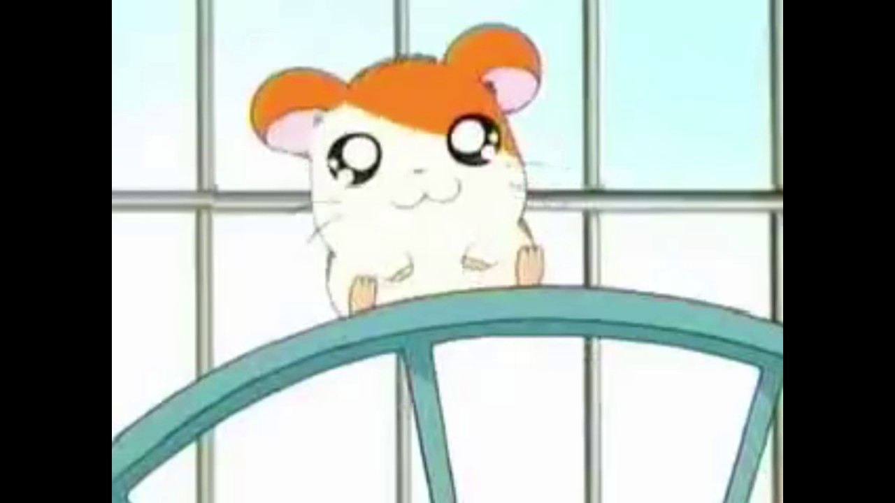 Its Hamtaro Time Song The Hamtaro Wiki Fandom Its Hamtaro Time Song The Hamtaro Wiki Fandom