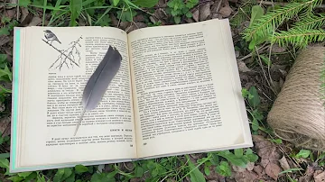 Перо ворона / Немного о перьях