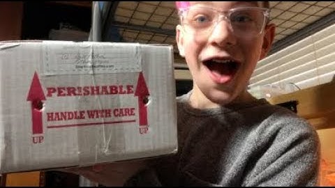 $2000 SNAKE UNBOXING *he sent the wrong snake*