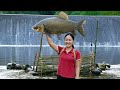 How To Turn Bamboo INTO A FISH MAGNET – This Trap Is Unbelievable! | Farm Life Tropics