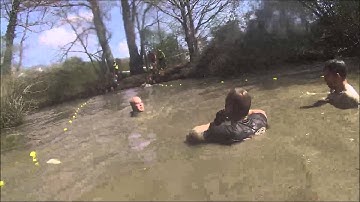 Dirty Dozen South London 2015 Sheep Dip