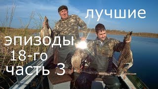 ОХОТА на УТКУ. ЛУЧШИЕ ЭПИЗОДЫ 2018г. Часть третья. ОХОТА на УТКУ. ЛУЧШИЕ ЭПИЗОДЫ 2018г. Часть третья.