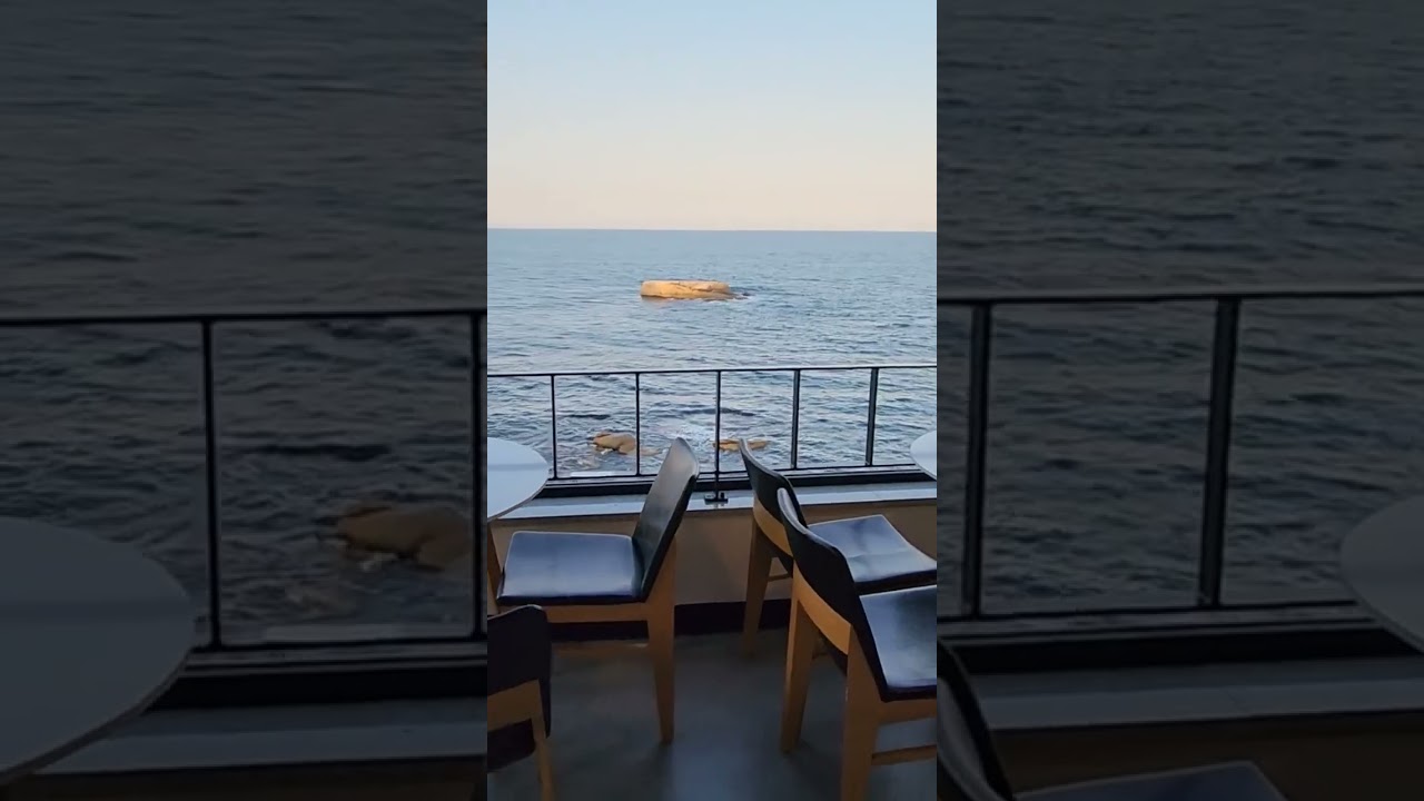 속초 바다뷰 카페 '바다담다' 4층