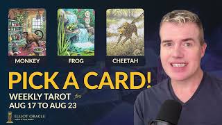 Tarot Reading for Aug 17 - Aug 23 | Pick a Card for your Weekly Oracle Reveal! 🐒🐸🐆@Elliot Oracle, Tarot Reader & Author (Elliot Adam)