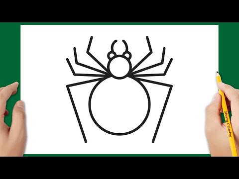 Vídeo: Como Desenhar Uma Aranha Com Um Lápis