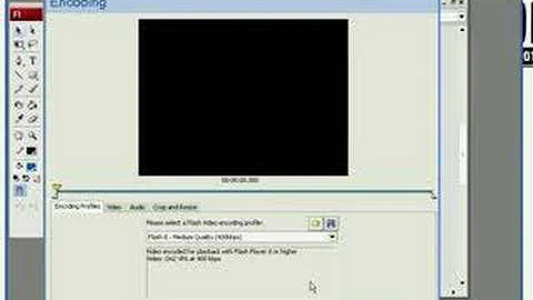 Importar video en Adobe Flash CS3