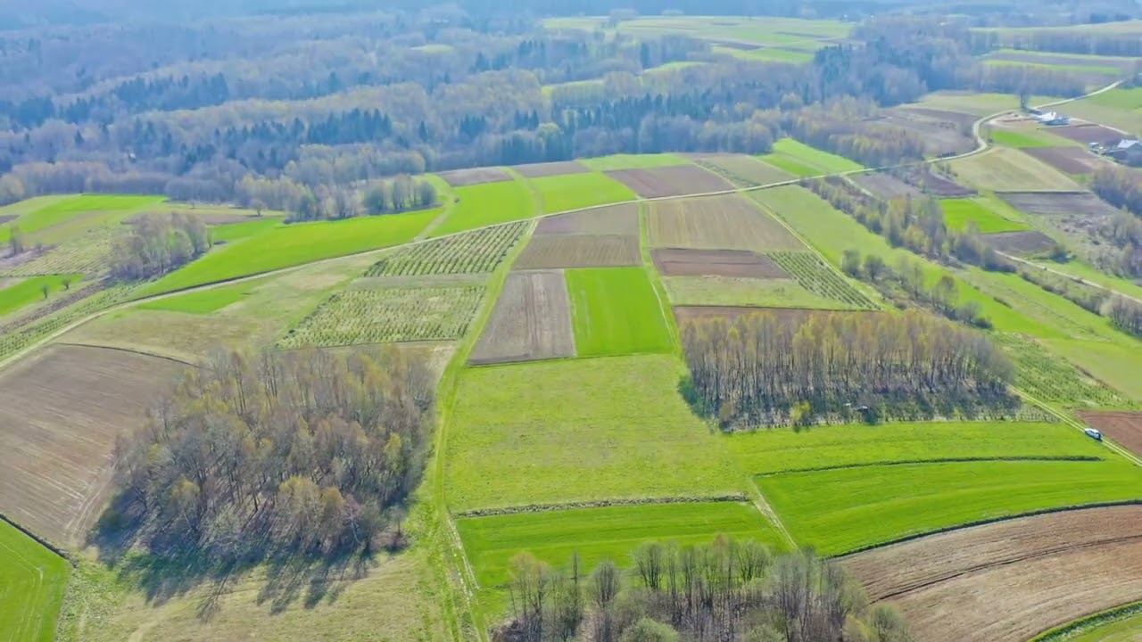 Large plot in a green, scenic area - Ділянка - Продаж - Ropczycko-Sędziszowski, Sędziszów Małopolski / Szkodna