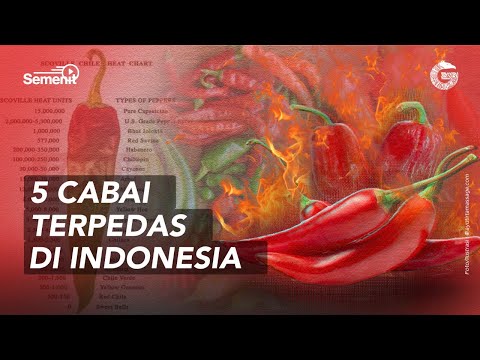 Saus Cabai Terpedas Di Indonesia