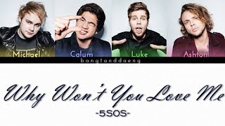 5SOS - Why won't you love me // color coded lyrics