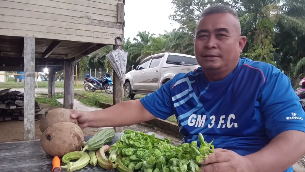 Jenguk kebun // Potong Sayur 