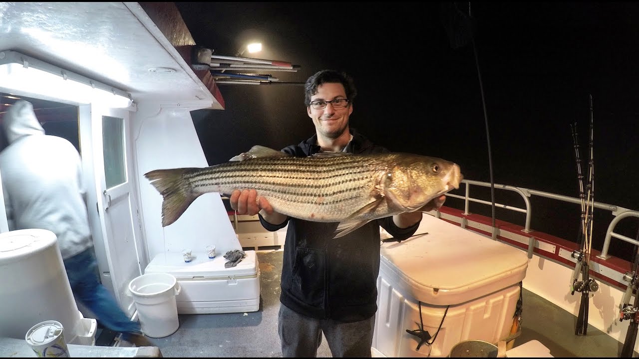 Captree night fishing Clearance