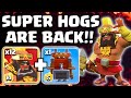 Super Hogs are FINALLY Back in CWL!! 🎊🐷