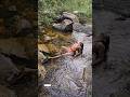 #natureza #cachoeira #vibes