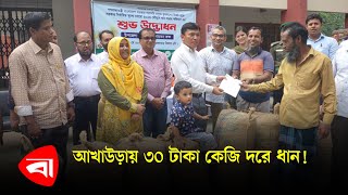 সরকারিভাবে আমন মৌসুমের ধান সংগ্রহ শুরু |  Amon Paddy & Rice Collection