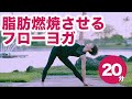 20分で脂肪燃焼させるフローヨガレッスン No.30