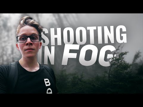 How To Shoot Landscapes Foggy Day?