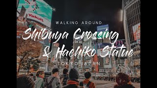 Walking Around Shibuya Crossing | New Years Countdown in Shibuya | Visit Hachiko Statue