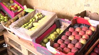 “Plaisirs fruités”, une entreprise trappiste face au Coronavirus