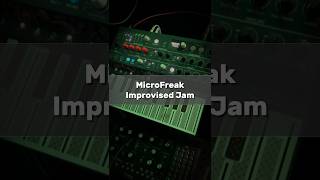 Arturia MicroFreak Jam | Improvised MicroFreak+Reverb+Space Echo