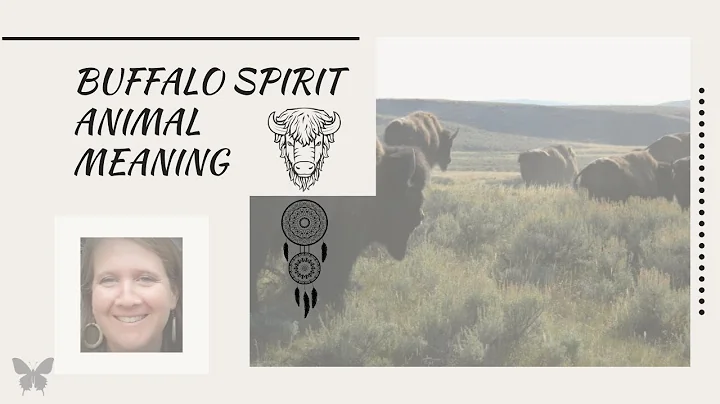 Buffalo - Det Heliga Djuret med en Djup Mening