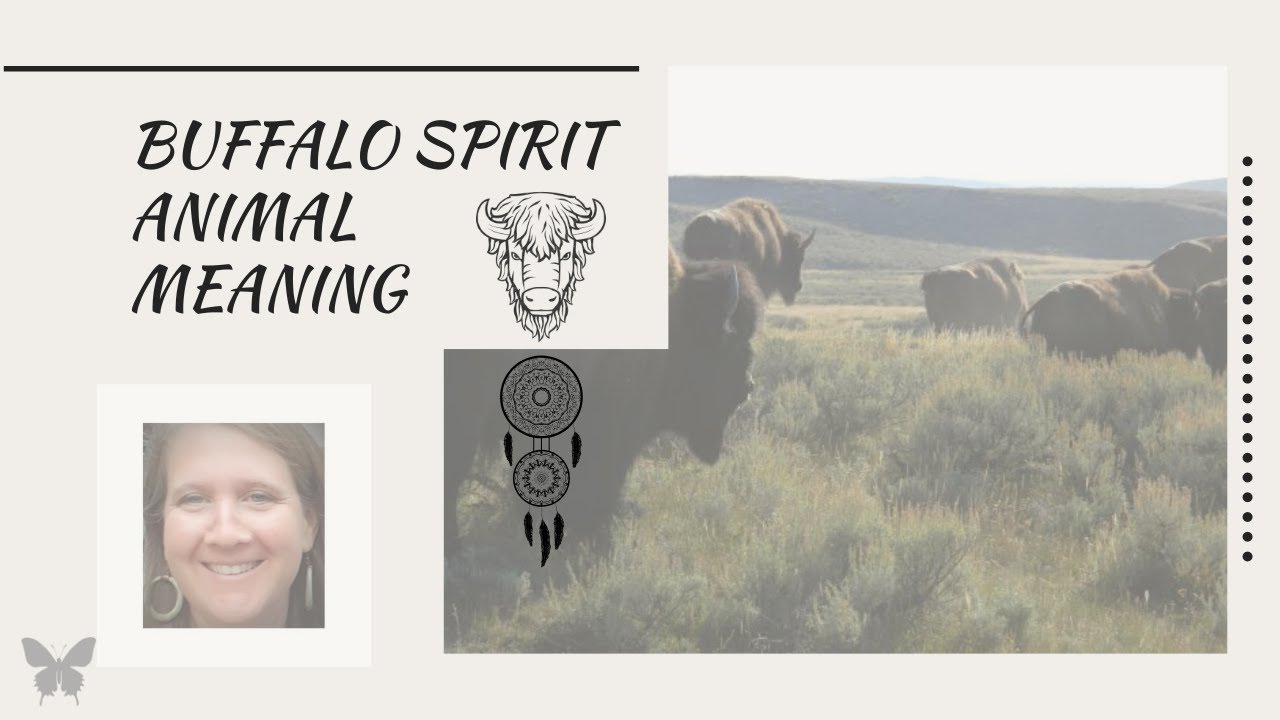 patrulje fangst smertestillende medicin Buffalo Spirit Animal meaning, buffalo is a sacred spirit animal. - YouTube