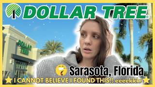 Omf I Found It Dollar Tree Shop With Me In Sarasota Florida airbnb Real Chat