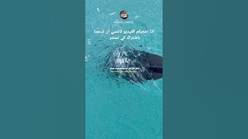 سورة البقرة الآية 54 - #اكتب_شي_تؤجر_عليه