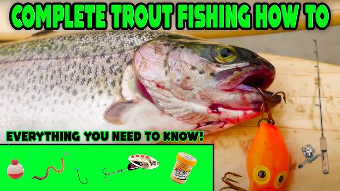 TROUT FISHING 101 - Beginners Guide To SUCCESS! 