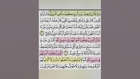 تيسير حفظ سورة البقرة بالتكرار الوجه الثالث و الاربعون الايات (260-262)تكرار كل ايه 3مرات مع الربط