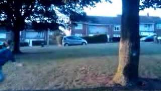 Two step wall flip off tree