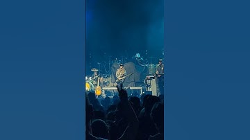 Thumbnail of The Elevators -Burn Slow- Lake Tahoe Winter Reggae Festival 2024