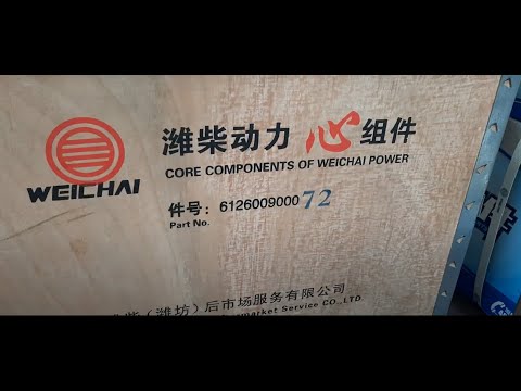 Поршневая Weichai WD615 Евро2 (оригинал)