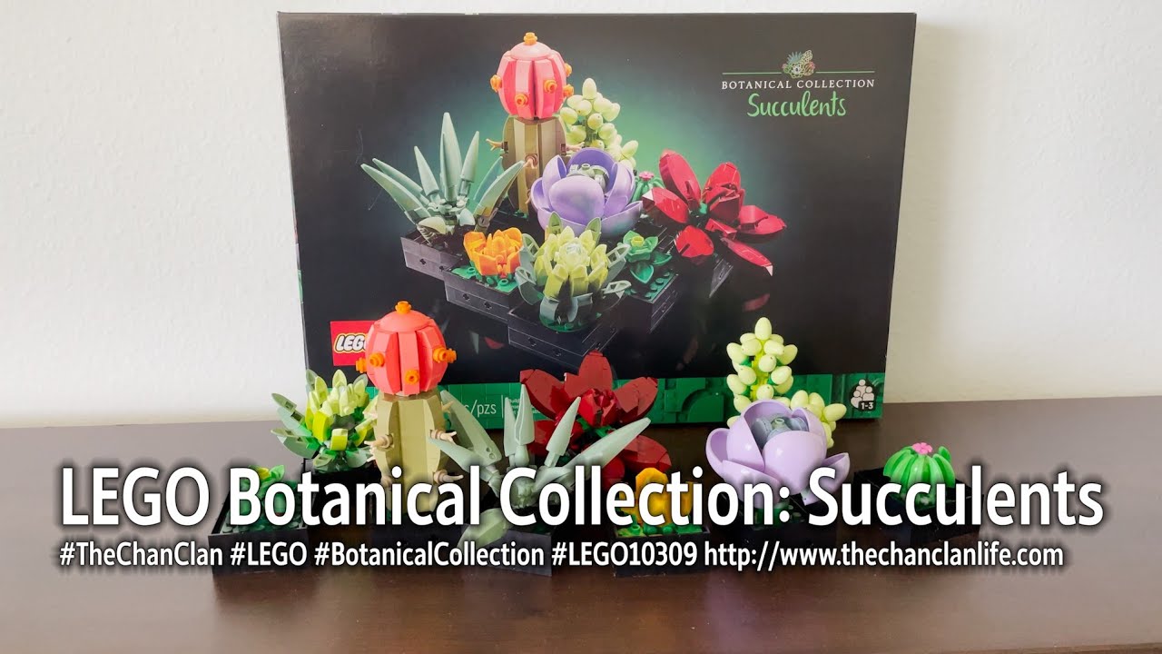 LEGO Botanic Collection Succulents 10309 & Orchid 10311 Building Kit -SHIP  FAST