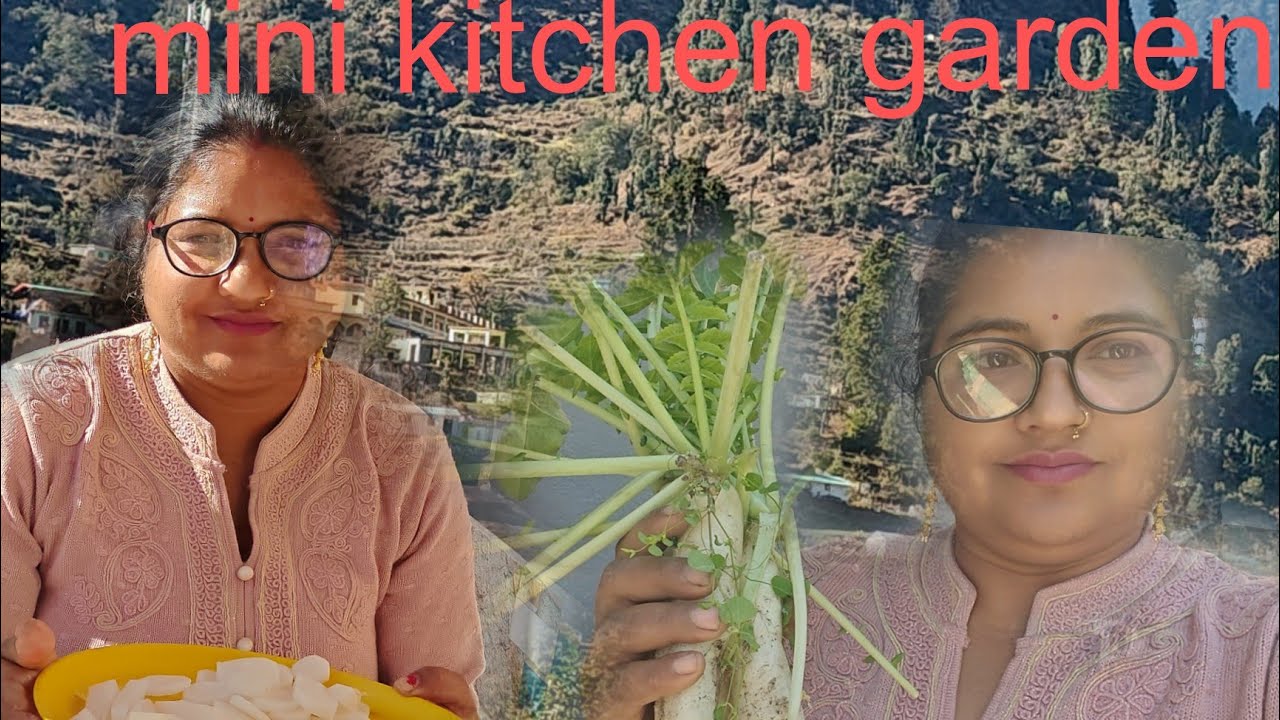 पहाड़ी मूली का लिया आनंद||अपने खेतों की मूली 🙏🧿#viral #devbhoomi #uttrakhand 