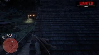 RDR2 Double Kill Through Window