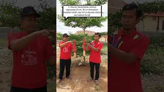 Ayo Pasang Patokmu Sekarang