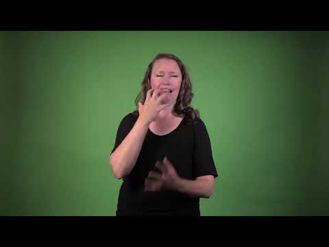 YouTube player