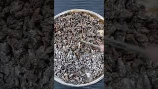 I Am Making Oud Wood Ferfume